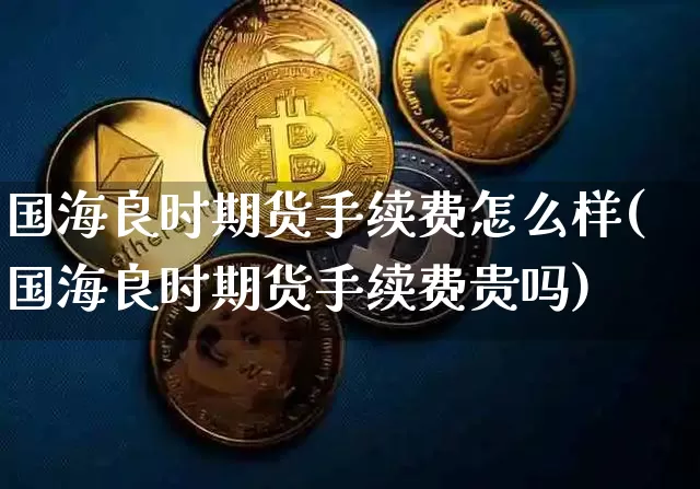 国海良时期货手续费怎么样(国海良时期货手续费贵吗)_https://m.zghnxxa.com_黄金直播_第1张