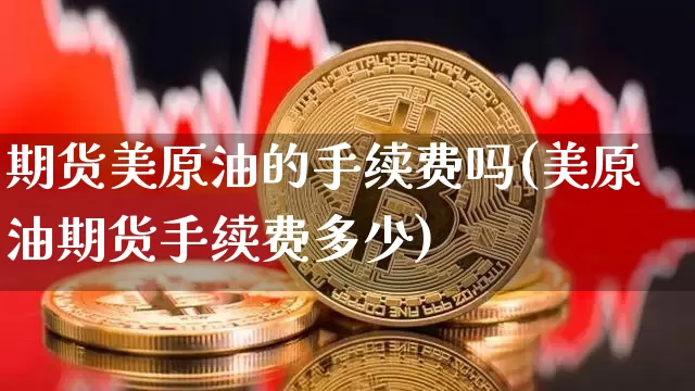 期货美原油的手续费吗(美原油期货手续费多少)_https://m.zghnxxa.com_期货资讯_第1张