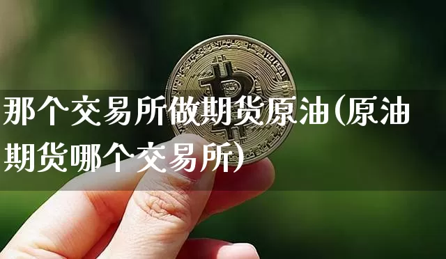 那个交易所做期货原油(原油期货哪个交易所)_https://m.zghnxxa.com_纳指期货_第1张