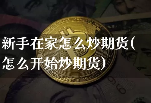 新手在家怎么炒期货(怎么开始炒期货)_https://m.zghnxxa.com_恒指期货_第1张