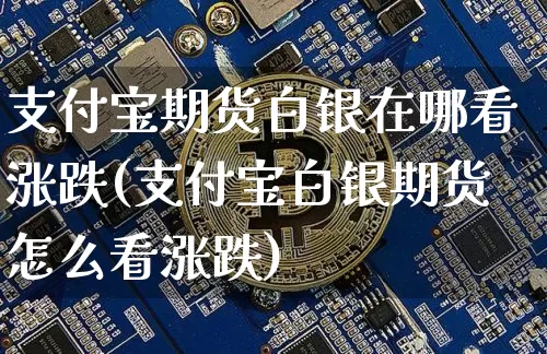 支付宝期货白银在哪看涨跌(支付宝白银期货怎么看涨跌)_https://m.zghnxxa.com_纳指期货_第1张