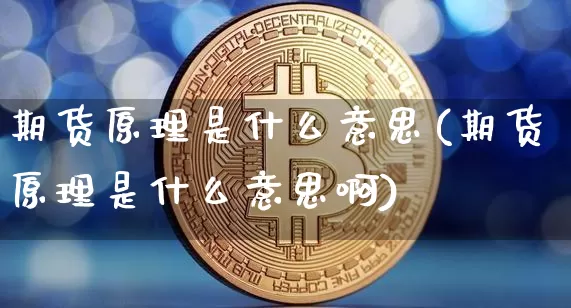 期货原理是什么意思(期货原理是什么意思啊)_https://m.zghnxxa.com_原油直播_第1张