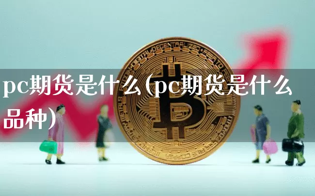 pc期货是什么(pc期货是什么品种)_https://m.zghnxxa.com_股指期货_第1张
