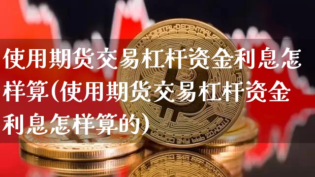 使用期货交易杠杆资金利息怎样算(使用期货交易杠杆资金利息怎样算的)_https://m.zghnxxa.com_天然气期货_第1张