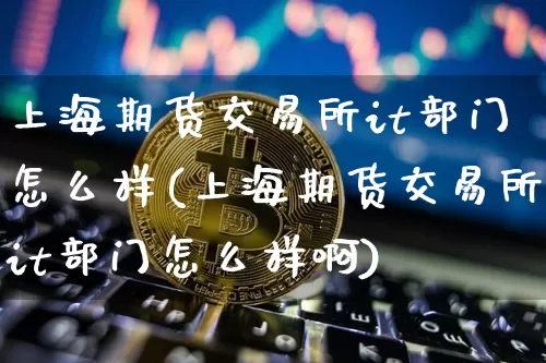 上海期货交易所it部门怎么样(上海期货交易所it部门怎么样啊)_https://m.zghnxxa.com_纳指期货_第1张