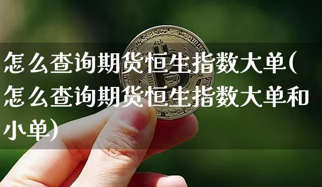 怎么查询期货恒生指数大单(怎么查询期货恒生指数大单和小单)_https://m.zghnxxa.com_恒指期货_第1张