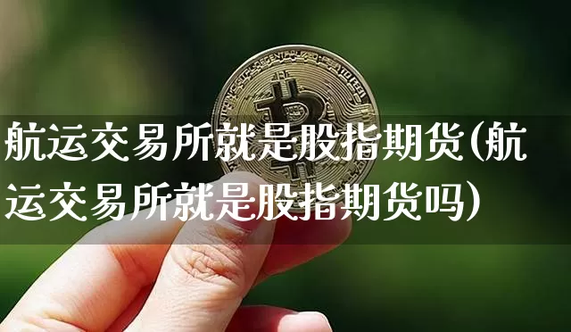航运交易所就是股指期货(航运交易所就是股指期货吗)_https://m.zghnxxa.com_股指期货_第1张