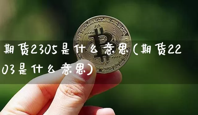 期货2305是什么意思(期货2203是什么意思)_https://m.zghnxxa.com_纳指期货_第1张