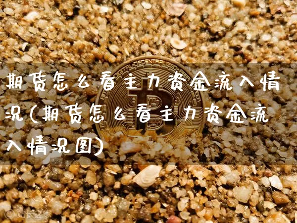 期货怎么看主力资金流入情况(期货怎么看主力资金流入情况图)_https://m.zghnxxa.com_恒指期货_第1张