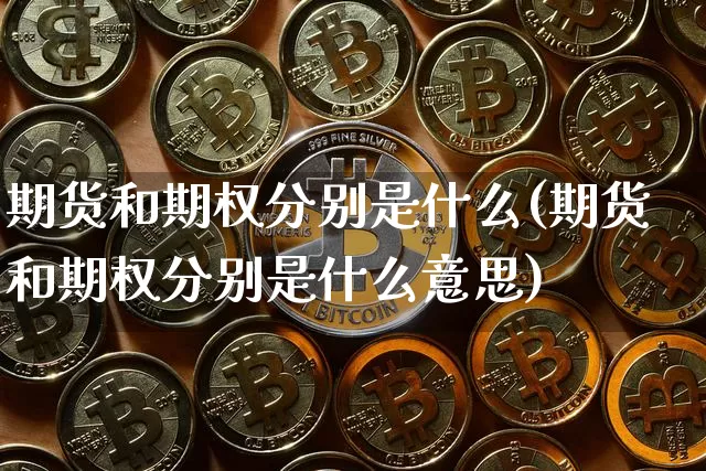 期货和期权分别是什么(期货和期权分别是什么意思)_https://m.zghnxxa.com_天然气期货_第1张