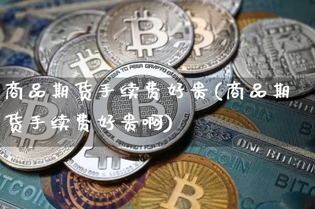 商品期货手续费好贵(商品期货手续费好贵啊)_https://m.zghnxxa.com_恒指期货_第1张