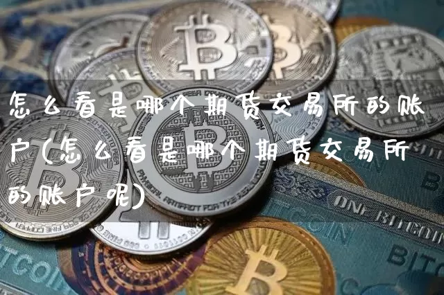 怎么看是哪个期货交易所的账户(怎么看是哪个期货交易所的账户呢)_https://m.zghnxxa.com_恒指期货_第1张