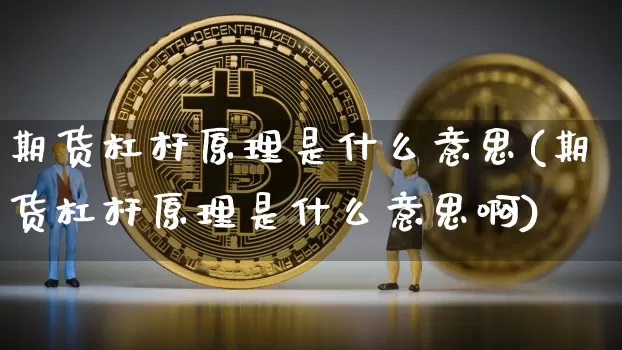 期货杠杆原理是什么意思(期货杠杆原理是什么意思啊)_https://m.zghnxxa.com_黄金直播_第1张