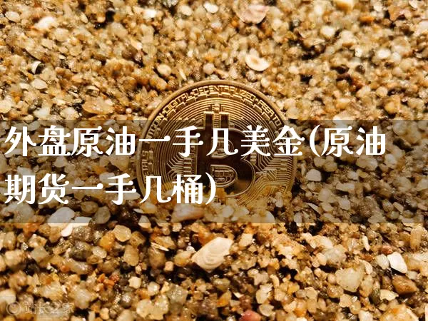 外盘原油一手几美金(原油期货一手几桶)_https://m.zghnxxa.com_天然气期货_第1张