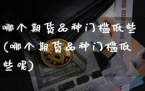 哪个期货品种门槛低些(哪个期货品种门槛低些呢)_https://m.zghnxxa.com_纳指期货_第1张