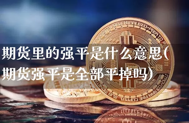 期货里的强平是什么意思(期货强平是全部平掉吗)_https://m.zghnxxa.com_恒指期货_第1张