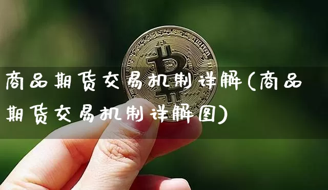 商品期货交易机制详解(商品期货交易机制详解图)_https://m.zghnxxa.com_股指期货_第1张