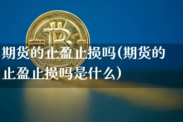 期货的止盈止损吗(期货的止盈止损吗是什么)_https://m.zghnxxa.com_恒指期货_第1张