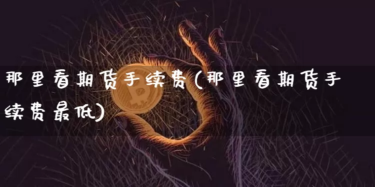 那里看期货手续费(那里看期货手续费最低)_https://m.zghnxxa.com_纳指期货_第1张