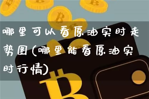 哪里可以看原油实时走势图(哪里能看原油实时行情)_https://m.zghnxxa.com_纳指期货_第1张