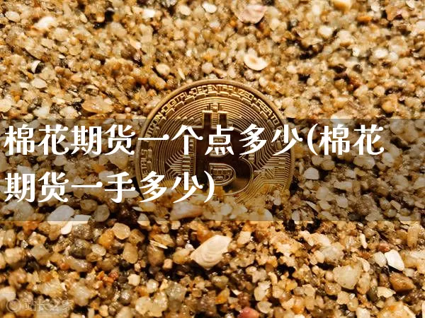 棉花期货一个点多少(棉花期货一手多少)_https://m.zghnxxa.com_纳指期货_第1张