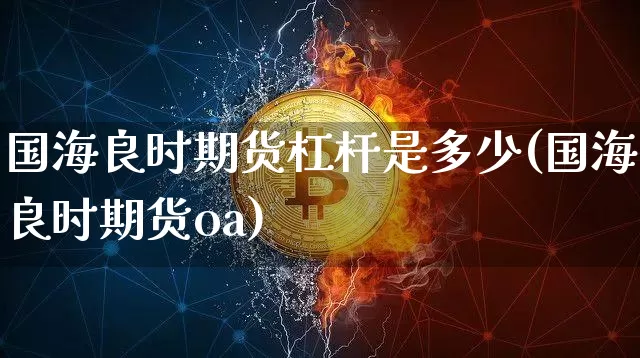国海良时期货杠杆是多少(国海良时期货oa)_https://m.zghnxxa.com_期货资讯_第1张