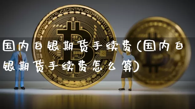 国内白银期货手续费(国内白银期货手续费怎么算)_https://m.zghnxxa.com_天然气期货_第1张