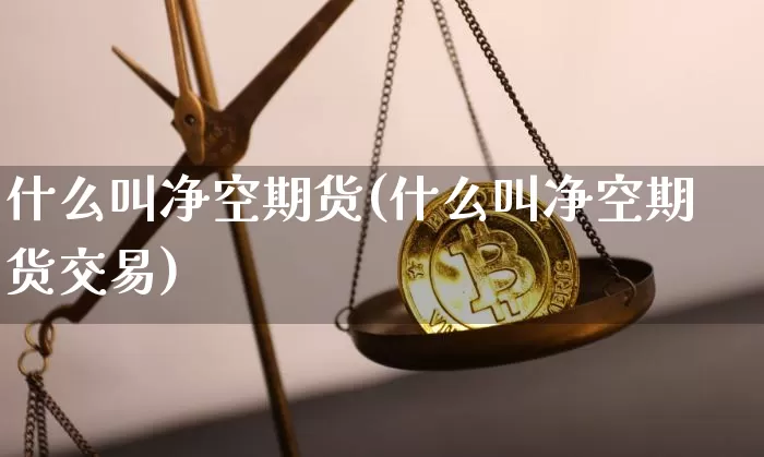 什么叫净空期货(什么叫净空期货交易)_https://m.zghnxxa.com_原油直播_第1张