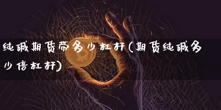 纯碱期货带多少杠杆(期货纯碱多少倍杠杆)_https://m.zghnxxa.com_天然气期货_第1张