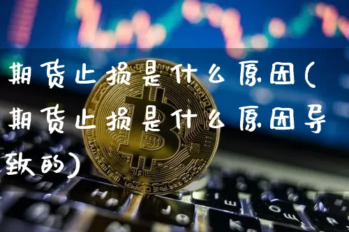 期货止损是什么原因(期货止损是什么原因导致的)_https://m.zghnxxa.com_恒指期货_第1张