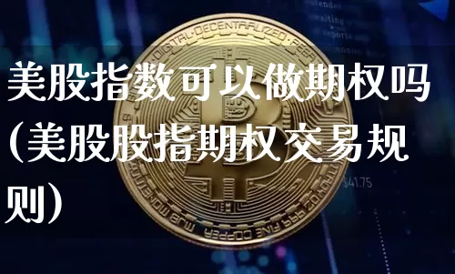 美股指数可以做期权吗(美股股指期权交易规则)_https://m.zghnxxa.com_黄金直播_第1张