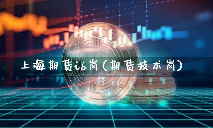 上海期货ib岗(期货技术岗)_https://m.zghnxxa.com_天然气期货_第1张
