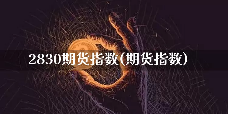 2830期货指数(期货指数)_https://m.zghnxxa.com_纳指期货_第1张
