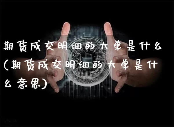 期货成交明细的大单是什么(期货成交明细的大单是什么意思)_https://m.zghnxxa.com_纳指期货_第1张