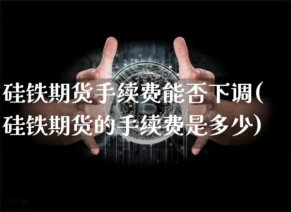硅铁期货手续费能否下调(硅铁期货的手续费是多少)_https://m.zghnxxa.com_原油直播_第1张