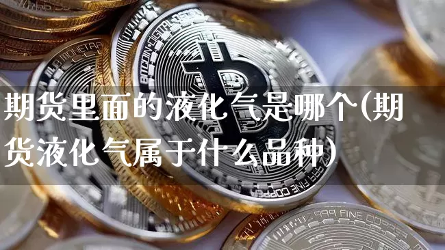 期货里面的液化气是哪个(期货液化气属于什么品种)_https://m.zghnxxa.com_恒指期货_第1张