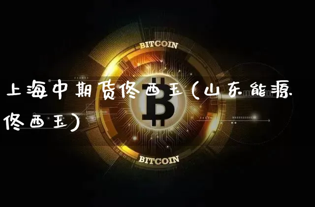 上海中期货佟西玉(山东能源佟西玉)_https://m.zghnxxa.com_股指期货_第1张