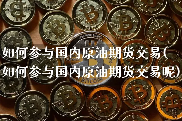 如何参与国内原油期货交易(如何参与国内原油期货交易呢)_https://m.zghnxxa.com_天然气期货_第1张