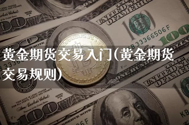 黄金期货交易入门(黄金期货交易规则)_https://m.zghnxxa.com_股指期货_第1张