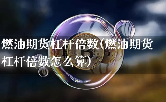 燃油期货杠杆倍数(燃油期货杠杆倍数怎么算)_https://m.zghnxxa.com_天然气期货_第1张