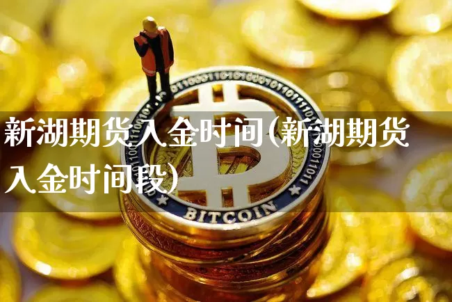 新湖期货入金时间(新湖期货入金时间段)_https://m.zghnxxa.com_恒指期货_第1张