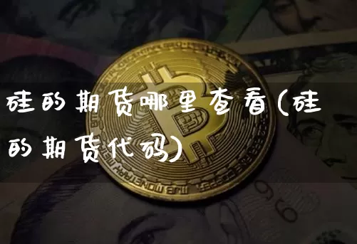 硅的期货哪里查看(硅的期货代码)_https://m.zghnxxa.com_天然气期货_第1张