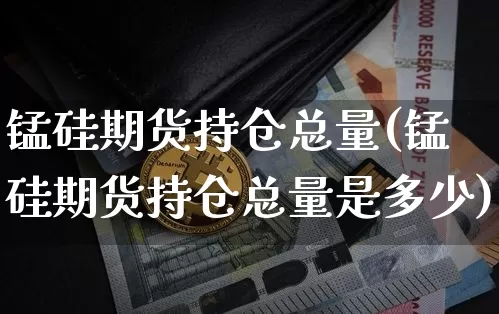 锰硅期货持仓总量(锰硅期货持仓总量是多少)_https://m.zghnxxa.com_期货资讯_第1张
