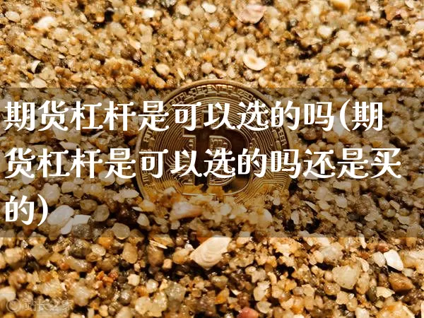 期货杠杆是可以选的吗(期货杠杆是可以选的吗还是买的)_https://m.zghnxxa.com_黄金直播_第1张