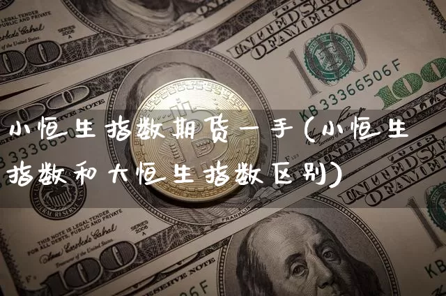 小恒生指数期货一手(小恒生指数和大恒生指数区别)_https://m.zghnxxa.com_恒指期货_第1张