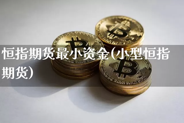 恒指期货最小资金(小型恒指期货)_https://m.zghnxxa.com_股指期货_第1张