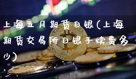 上海五月期货白银(上海期货交易所白银手续费多少)_https://m.zghnxxa.com_黄金直播_第1张