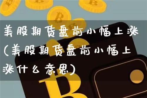 美股期货盘前小幅上涨(美股期货盘前小幅上涨什么意思)_https://m.zghnxxa.com_天然气期货_第1张
