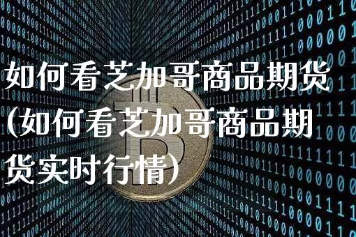如何看芝加哥商品期货(如何看芝加哥商品期货实时行情)_https://m.zghnxxa.com_恒指期货_第1张