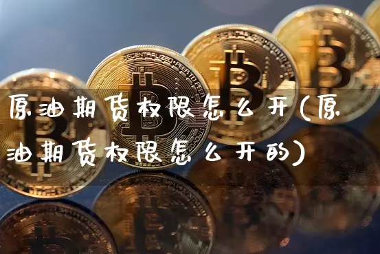 原油期货权限怎么开(原油期货权限怎么开的)_https://m.zghnxxa.com_天然气期货_第1张